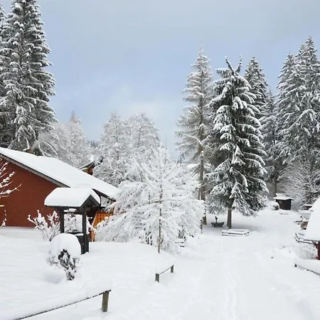 Lovely In Apartament Titisee-Neustadt
